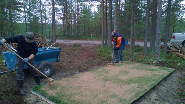 Kuva: Mikko ja Heikki tiipaikan harjaushommissa vuonna 2015