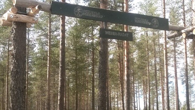 Kuva: rataportin yläosa