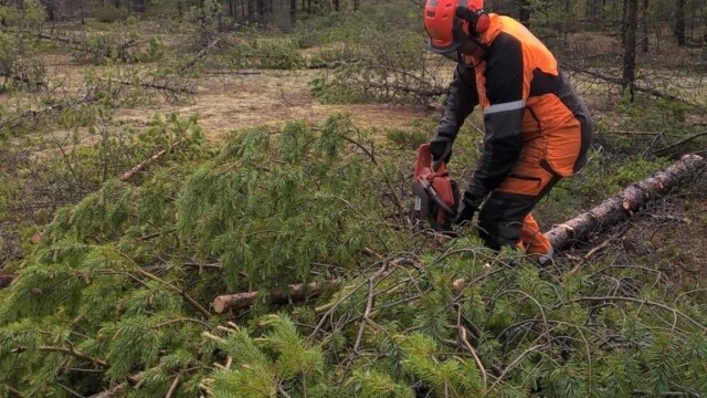 WP_20150624_11_17_07_Pro