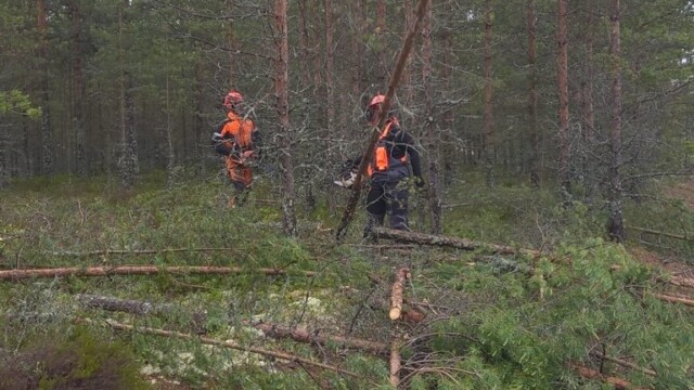 WP_20150624_14_24_27_Pro