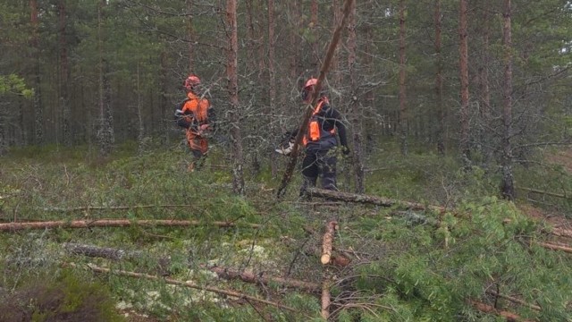 WP_20150624_14_24_27_Pro