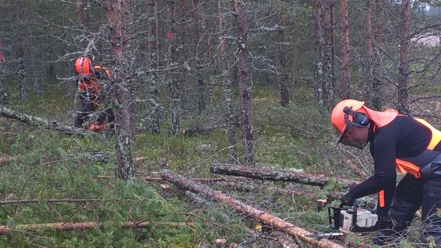 Kuva: Tuija ja Joona puunkaatohommissa WP_20150624_14_24_48_Pro