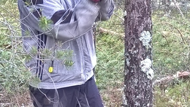 WP_20150624_14_25_05_Pro upd