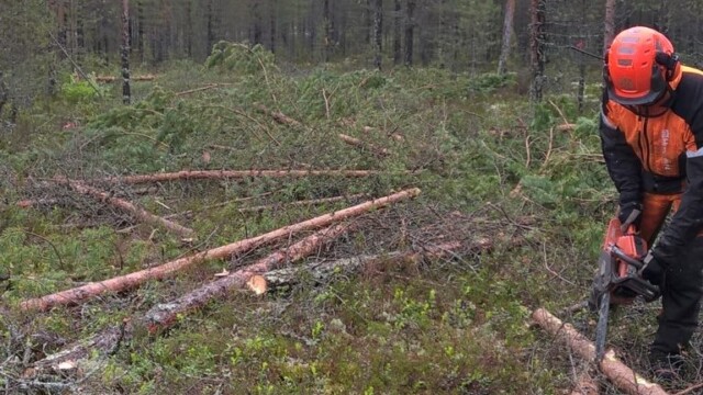 WP_20150624_14_25_32_Pro