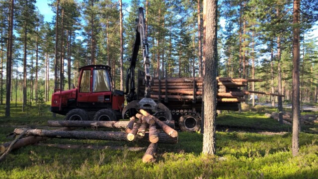 WP_20150811_08_30_02_Pro