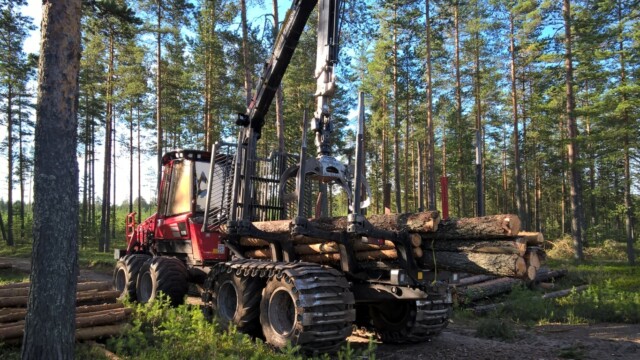 WP_20150811_08_36_13_Pro