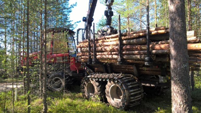 WP_20150811_11_03_16_Pro